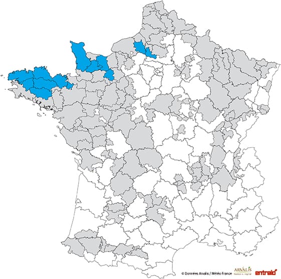 mais-ensilage-date-debut-recolte-2017-4-7sept