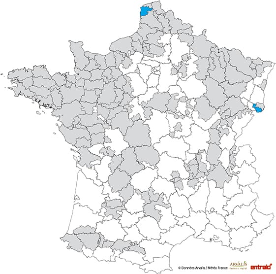 mais-ensilage-date-debut-recolte-2017-apres7sept