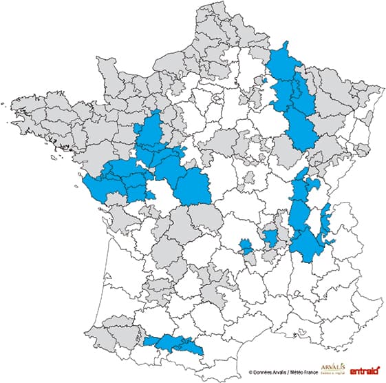 mais-ensilage-date-debut-recolte-2017-avant15aout.jpg