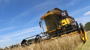 [Parts de marché 2017] New Holland et Claas largement leaders en moissonneuse batteuse