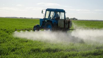 Perturbateurs endocriniens: le gouvernement liste les pesticides susceptibles d’en contenir