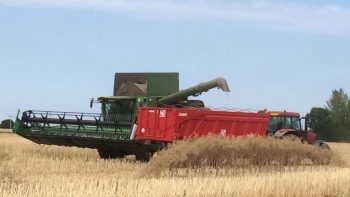 Une moisson 2017 « moyenne » en  Côte d’Or