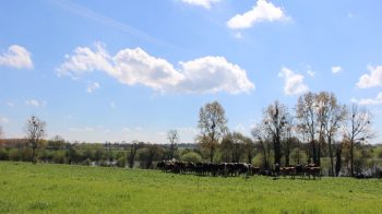 Votre ferme est-elle durable ?