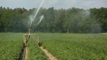 Gestion de l’eau : des « axes d’action » présentés en Conseil des ministres