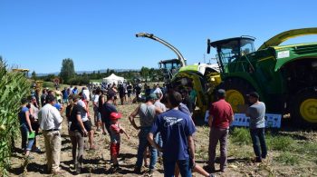 Loire : optimiser les réglages de l’ensileuse