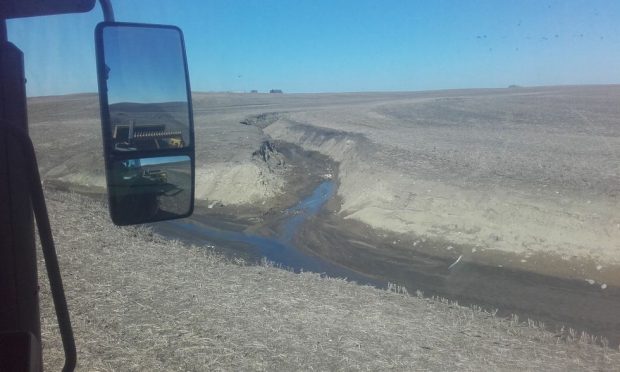 Pas de talus, pas de haies le long des cours d'eau sur une exploitation conventionnelle aux Etats-Unis. 