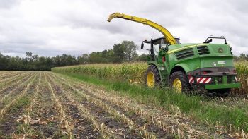 Ensilage de maïs 2017 : « Une année pas trop mal »