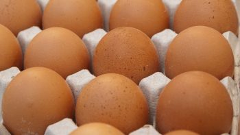 Oeufs contaminés: des lots livrés en France en provenance des Pays-Bas