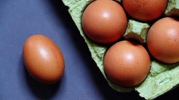 Oeufs contaminés: 5 entreprises françaises ont reçu des lots