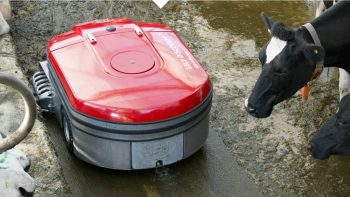 Un robot aspirateur de lisier !