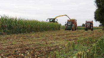 [Organisation de groupe] Un ensilage sans frontière