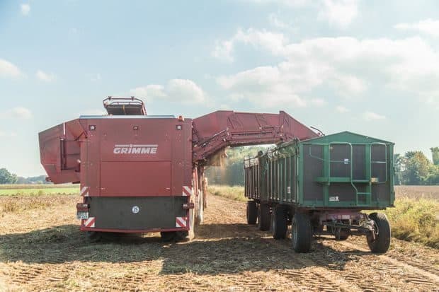 arracheuse pommes de terre Grimme trémie 15 tonnes