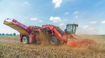 Grimme: 4 rangs de pommes de terre d’un coup