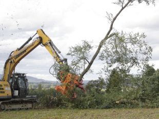 grappin haies bocagères