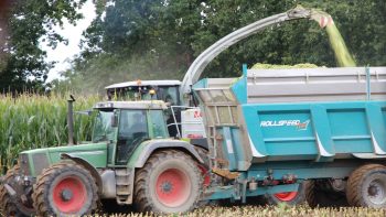 [Avis ensilage Shredlage] Que faut-il en penser ?