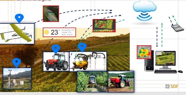 SDF viticulture