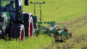 Couverts végétaux et destruction mécanique : Comment les détruire sans herbicide ?