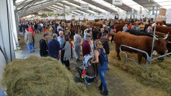 Le Sommet de l’élevage 2017: toujours plus international