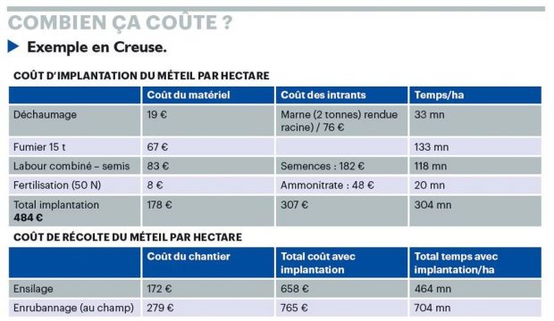 Tableau avec le coût d'implantation et de récolte du méteil dans la Creuse.