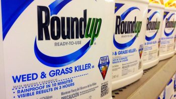 Glyphosate : « essayer de sortir » dans les trois ans