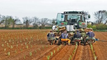 De nouveaux matériels pour les fruits et légumes