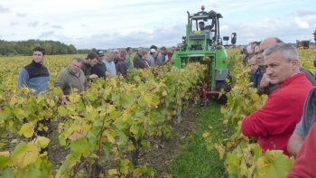 La réflexion sur le travail du sol avance dans le vignoble nantais