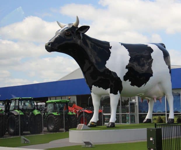 production laitière Nouvelle Zélande : Passage à Morrinsville… il paraît que c’est la capitale des vaches ! ça se voit à peine, non ?