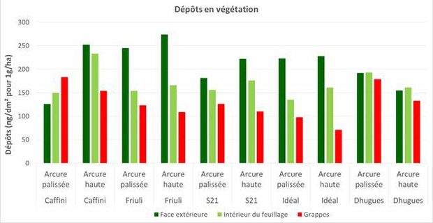 dépôts extérieur intérieur et grappes