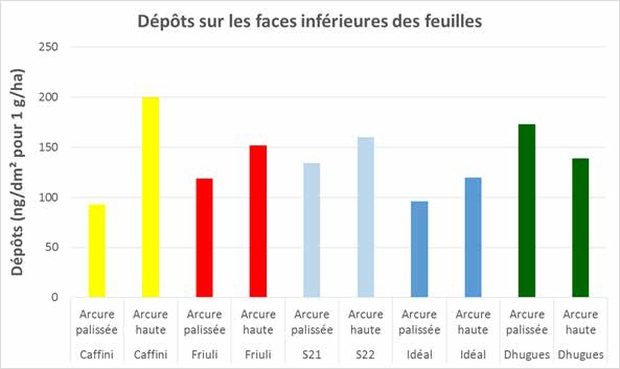 Dépôts face inférieure