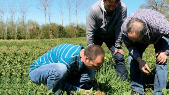 Des propositions pour que l’agriculture se joue en collectif