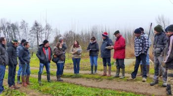 Noyers : la taille dans tous ses états en Dordogne