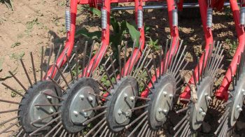 L’étrille rotative: un bon complément dans la boîte à outil du désherbage