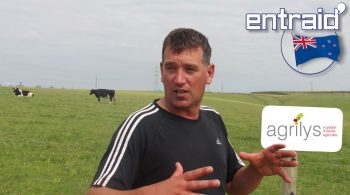 L’autonomie en ferme laitière, levier de durabilité et d’acceptabilité en Nouvelle Zélande