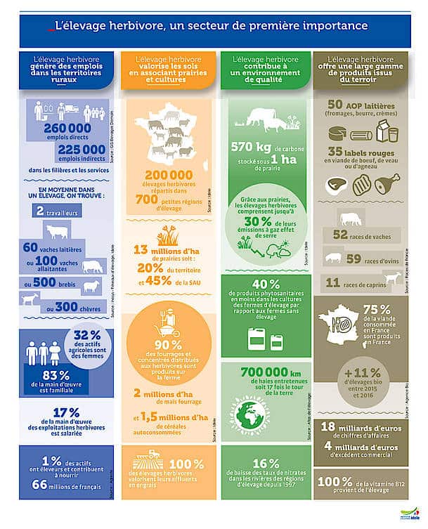 L'élevage herbivore représente un secteur de première importance 