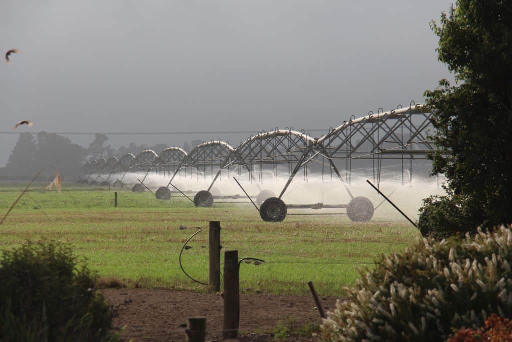 Nouvelle-zelande-elevage-laitier-lait-eleveur-canterbury-jeff-gould-intensif-logettes-irrigation