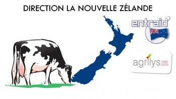 A la découverte de la production laitière en Nouvelle Zélande