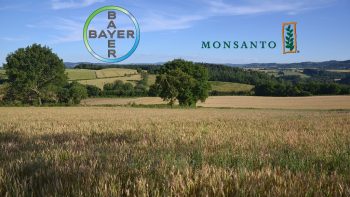 Fusion Bayer/Monsanto : l’UE autorise le rachat de certaines activités par BASF
