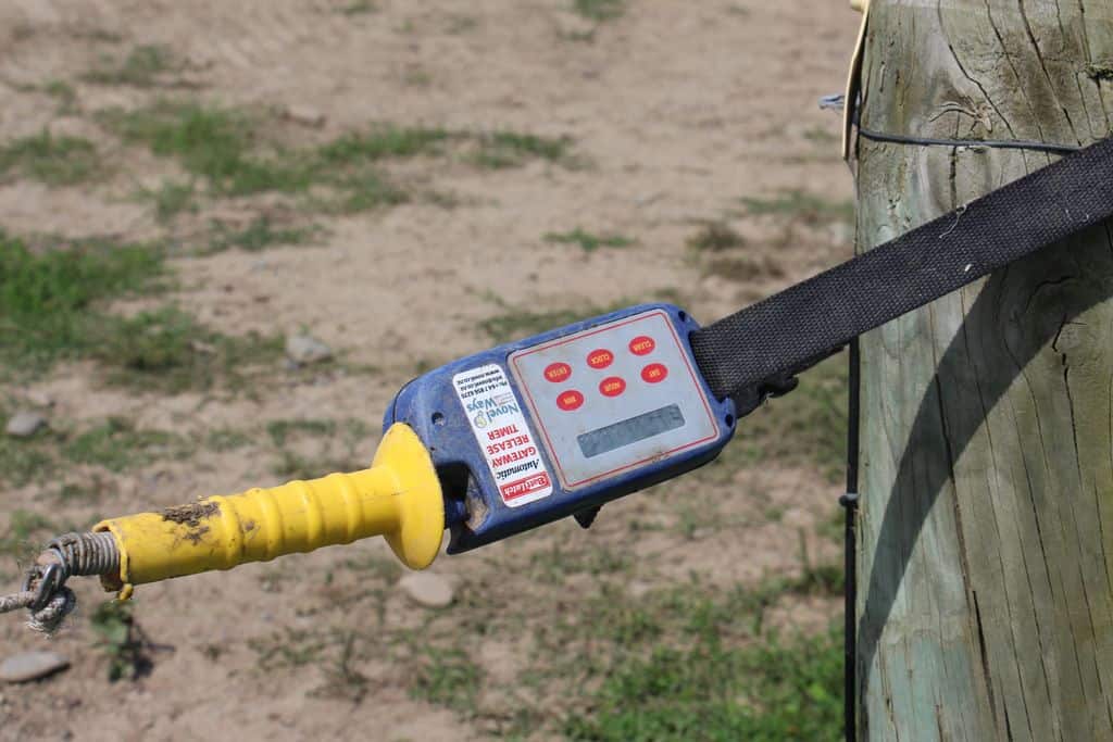 traite-paturage-vaches-laitieres-cloture-ouverture-automtique-exploitation-nouvelle-zealnde