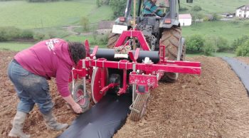 Paillages biodégradables: piments, vignes, même combat!