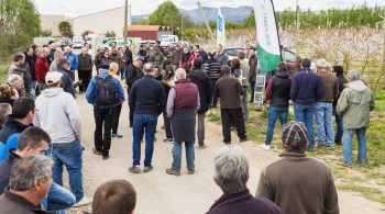 Pyrénées-Orientales : démonstration de matériels de travail du sol et tonte en arboriculture