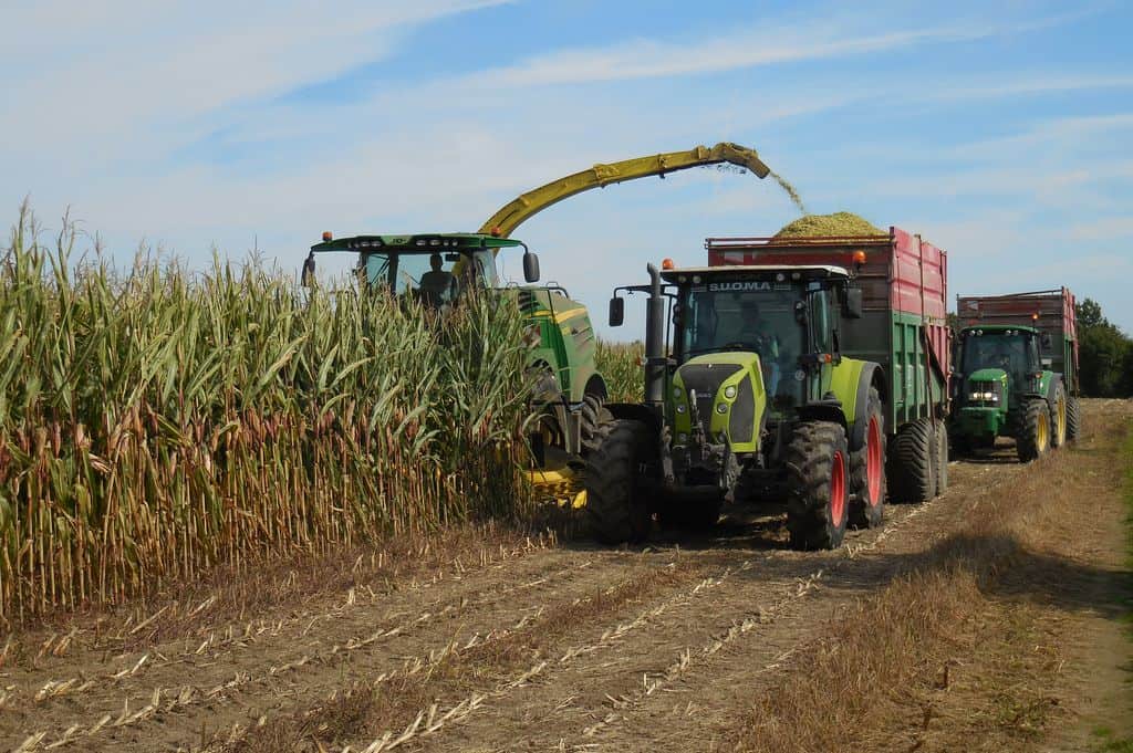 ensilage-ensileuse-mais-chantier-organisation-remorques-claas-john-deere-vendee