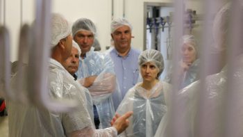 Visite de l’abattoir collectif de la cuma Grain de Saveurs