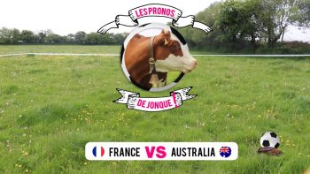 [Coupe du monde de foot 2018] Les pronostics de Jonque la vache pour France-Australie