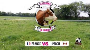 [Coupe du monde de foot 2018] Le résultat du match France – Pérou prédit par une vache !