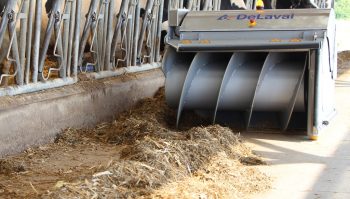 Un robot qui booste l’appétit des vaches