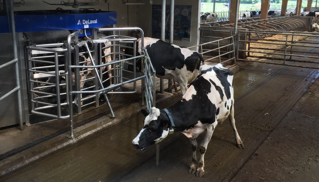 Delaval Lance Une Nouvelle Generation De Robot De Traite Entraid