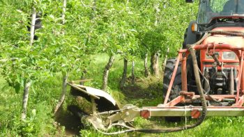 Pleins feux sur les matériels arbo