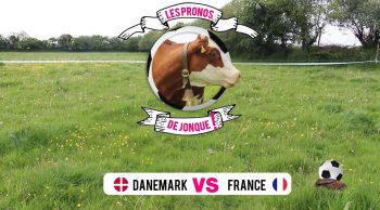 [Coupe du monde de foot 2018] Les pronostics de Jonque pour Danemark France