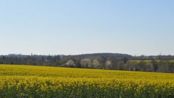 UE : les ministres de l’Agriculture prudents sur la réforme de la PAC