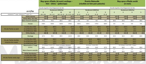 Combien coûte un RGI de 18 mois en foin, ensilé ou pâturé ? Quel est le coût d'une prairie naturelle récoltée en foin puis récoltée ?  Quel est le prix d'un RGI ensilé à 6 mois? 